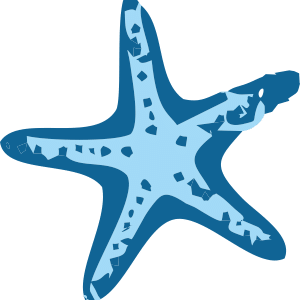  San Vito Fronte Mare Villa e appartamenti in affitto sulla spiaggia di San Vito Lo Capo a San Vito Lo Capo 